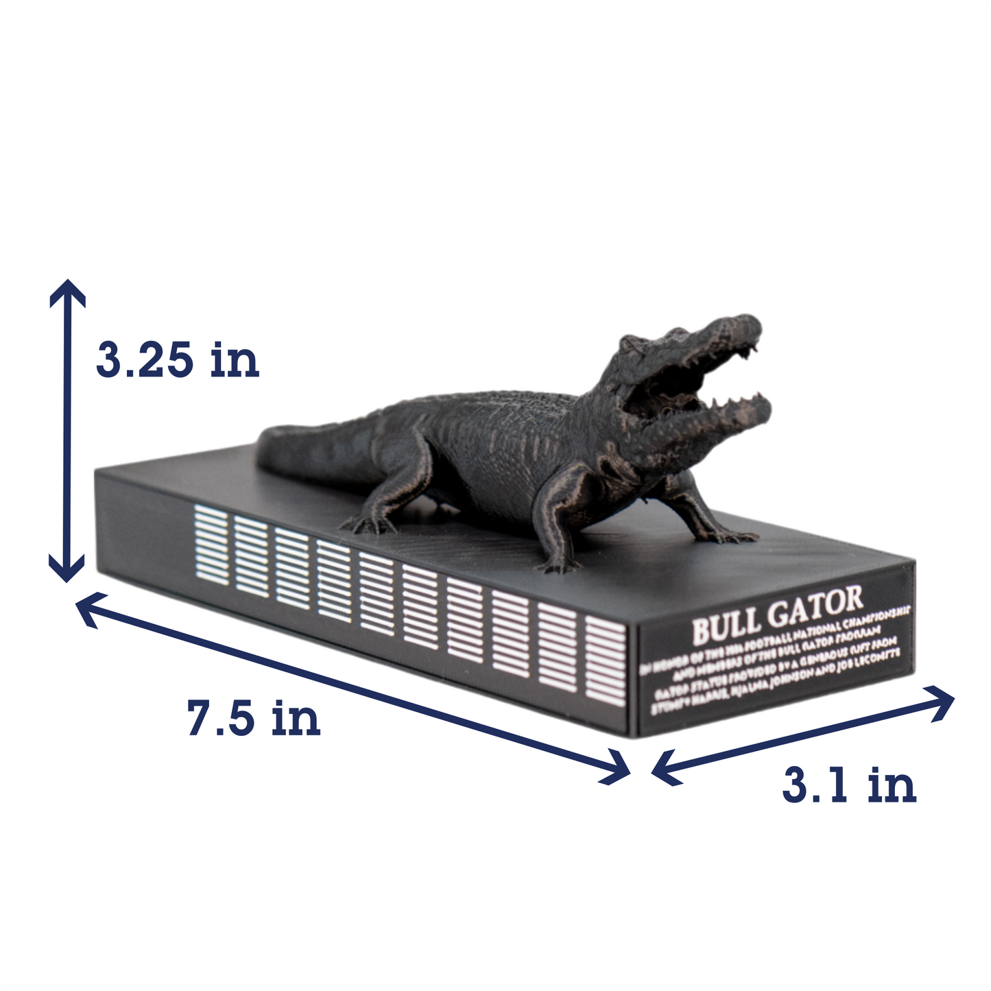 Bull Gator Statue 3D Replica | Gainesville, Florida | Graduation Gift & Fan Memorabilia & Home, Dorm, Office Décor
